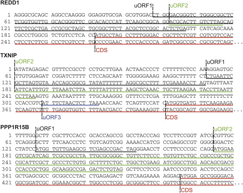 Figure 3—figure supplement 3.