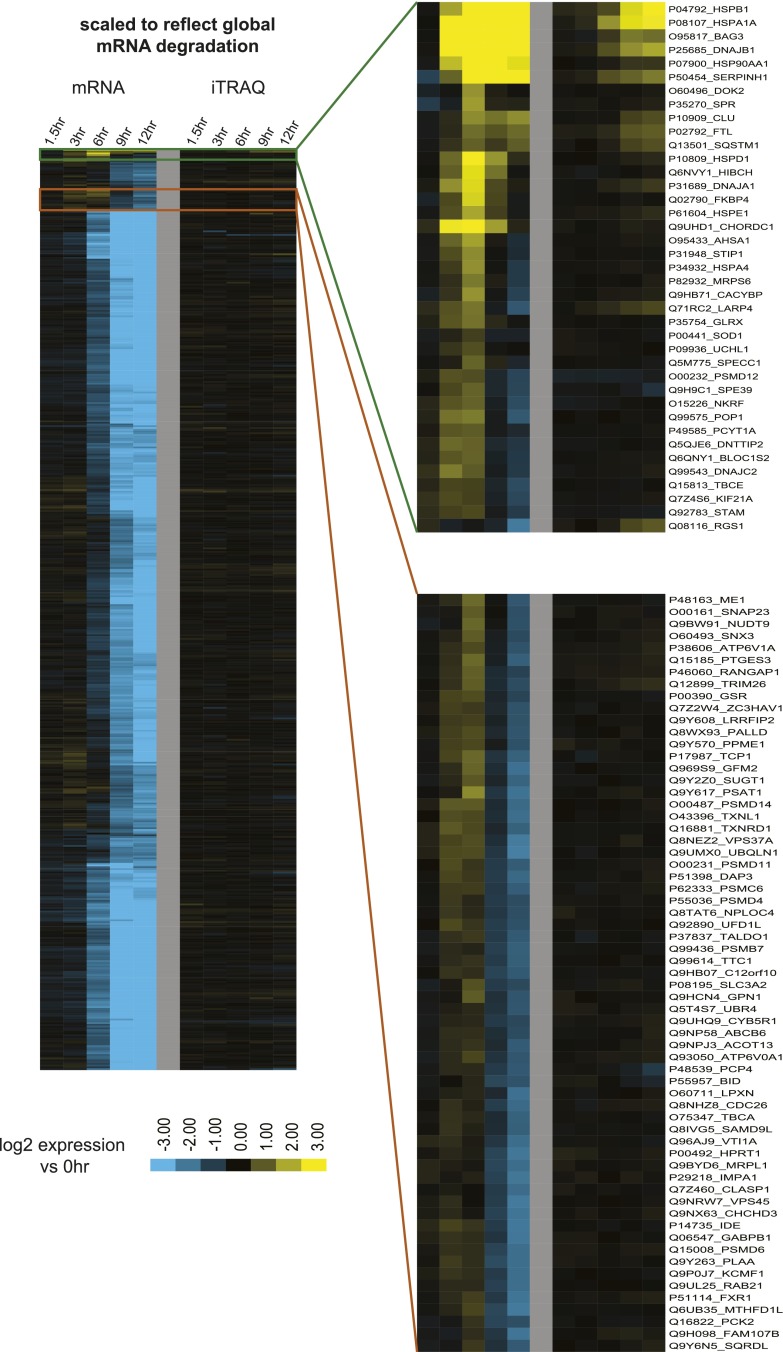 Figure 5—figure supplement 3.