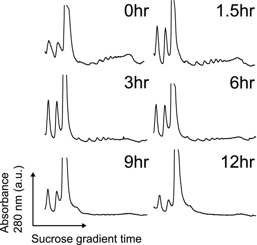 Figure 5—figure supplement 1.