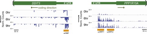 Figure 3—figure supplement 2.