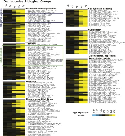 Figure 6—figure supplement 1.