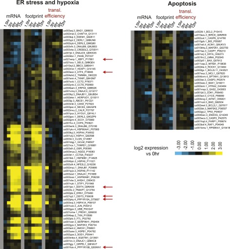 Figure 1—figure supplement 3.