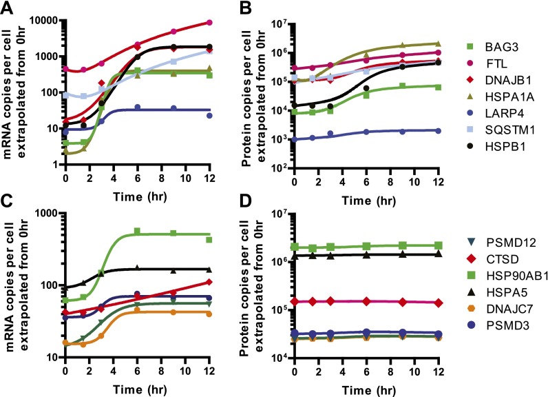 Figure 5—figure supplement 4.