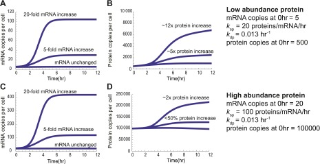 Figure 5—figure supplement 5.