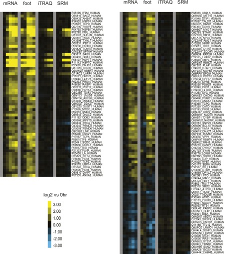 Figure 4—figure supplement 4.