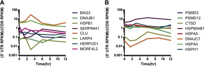 Figure 4—figure supplement 3.