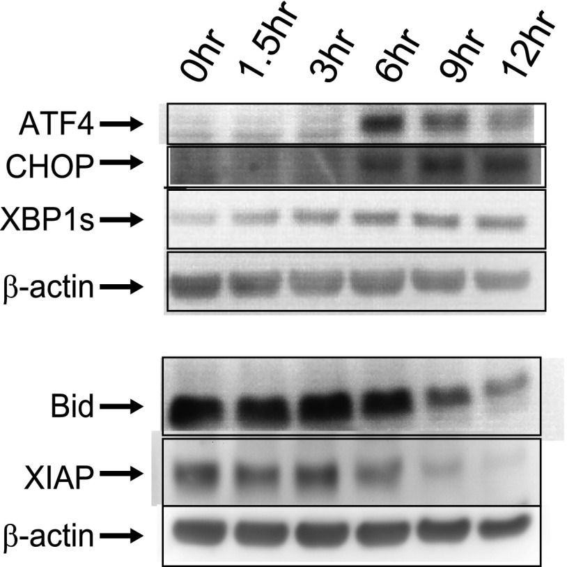 Figure 1—figure supplement 2.