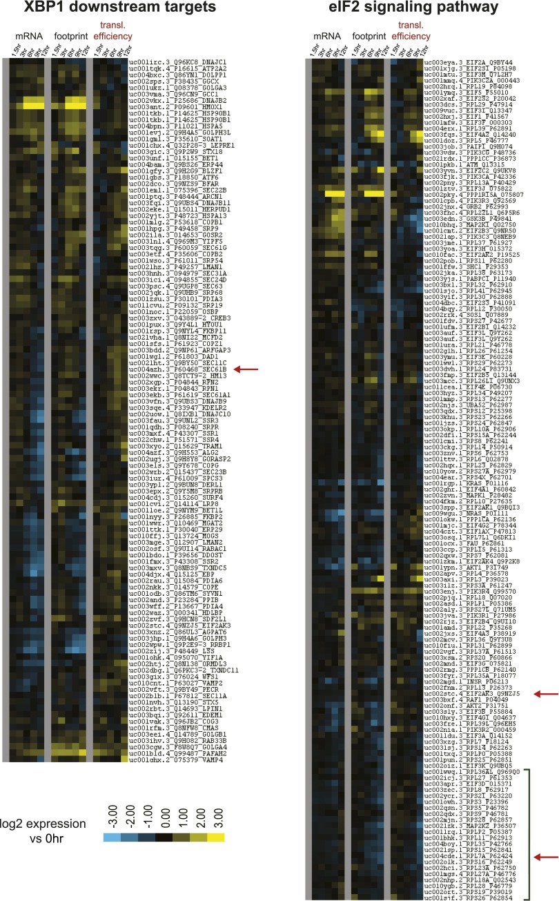 Figure 2—figure supplement 1.