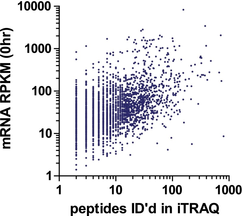 Figure 4—figure supplement 2.