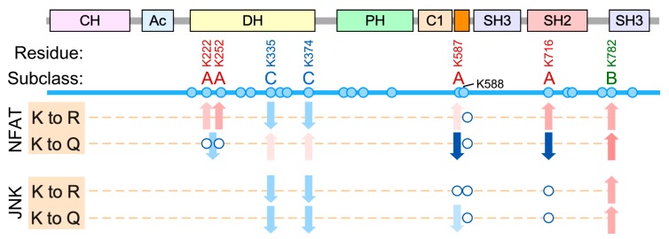 Figure 8