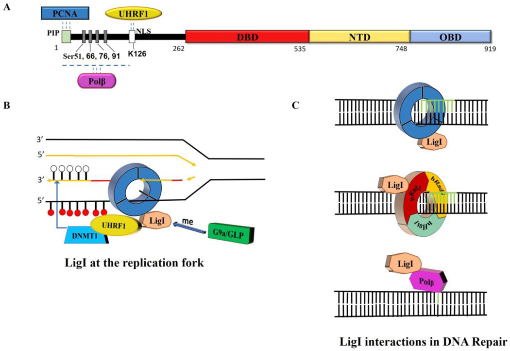 Fig. 3.