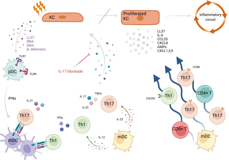 Figure 4: