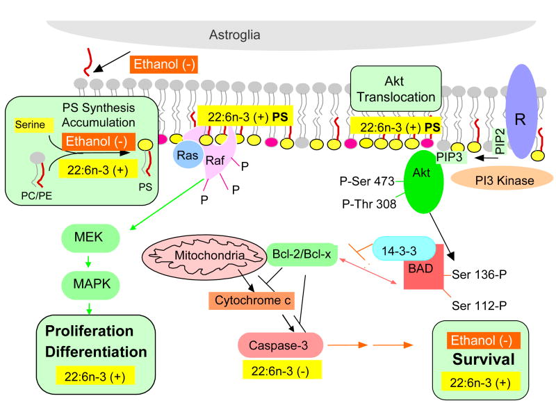 Figure 18