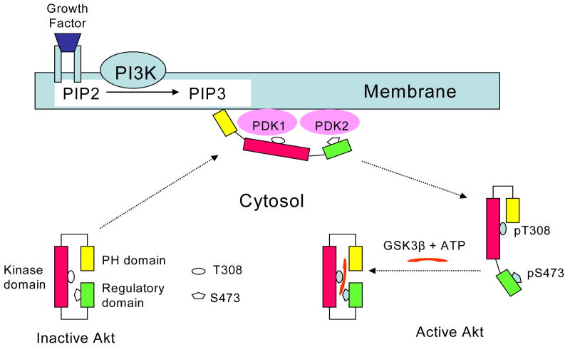 Figure 17