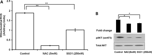 Figure 6.