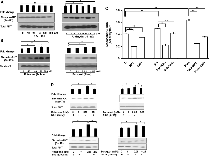 Figure 5.