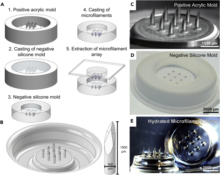 Figure 1