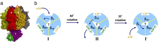 Fig. 1.