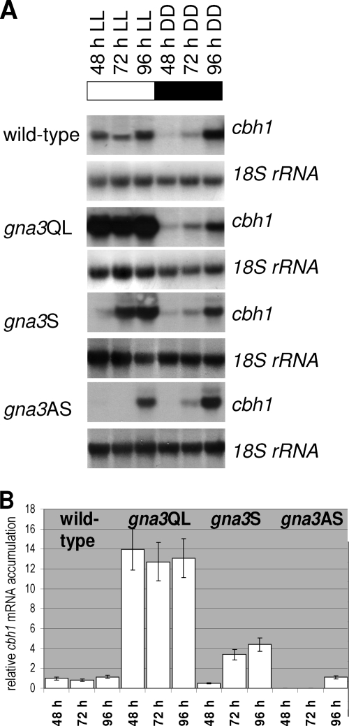 FIG. 5.