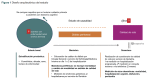 Figura 1