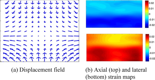 Fig. 10