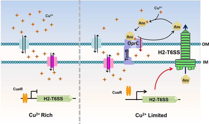 Fig 6