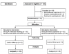 Flow diagram 1