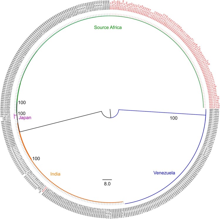 Figure 4.