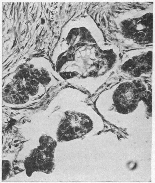 FIG. 7.