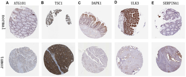 Figure 12