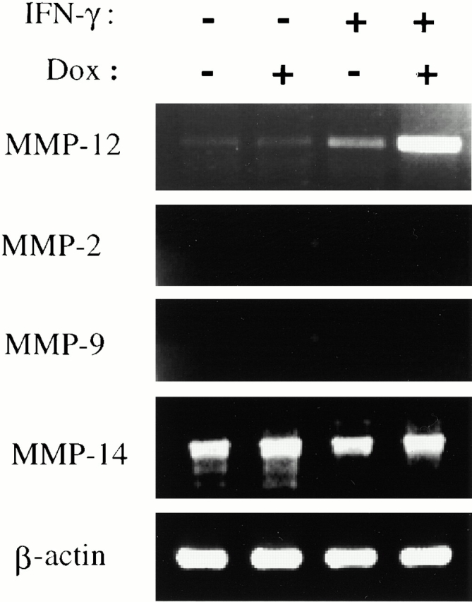 Figure 10