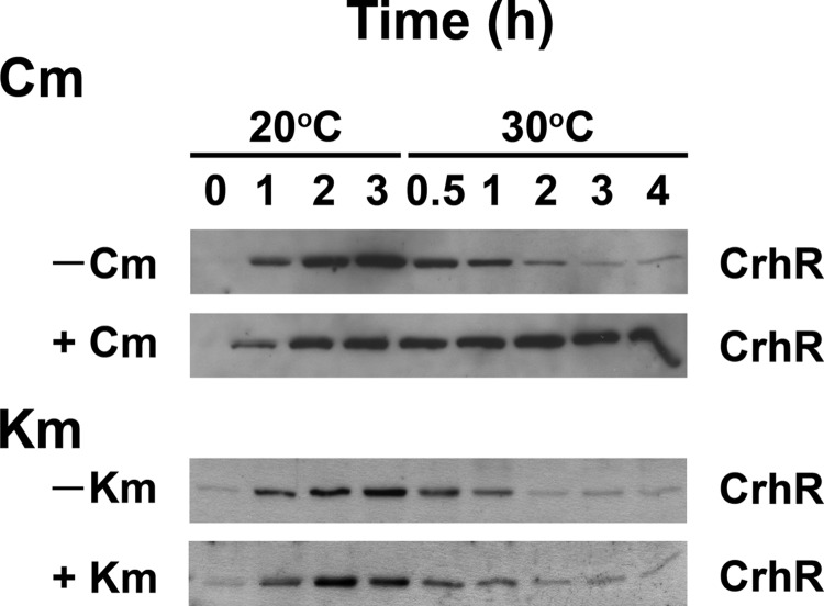 FIG 6