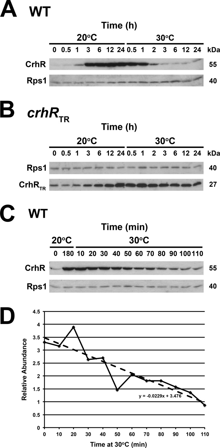 FIG 2