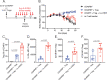 Figure 6—figure supplement 2.