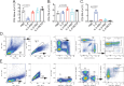 Figure 2—figure supplement 3.