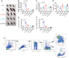 Figure 2—figure supplement 1.