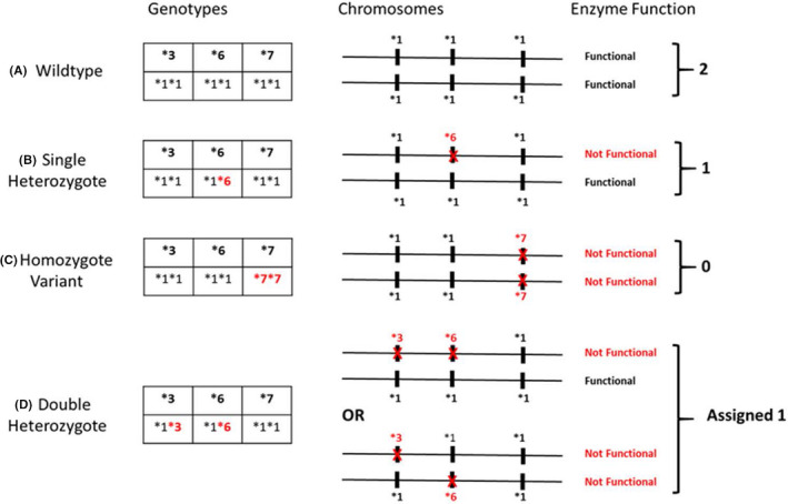 FIGURE 2