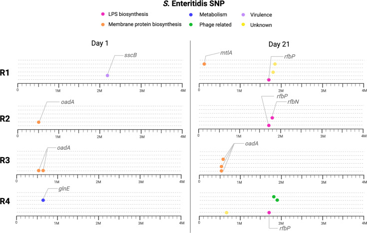 Figure 5