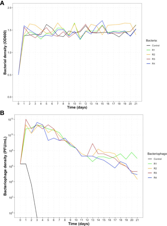 Figure 2