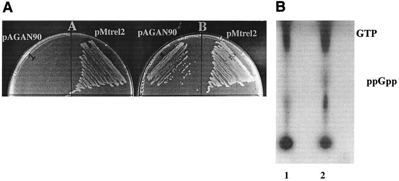 FIG. 7