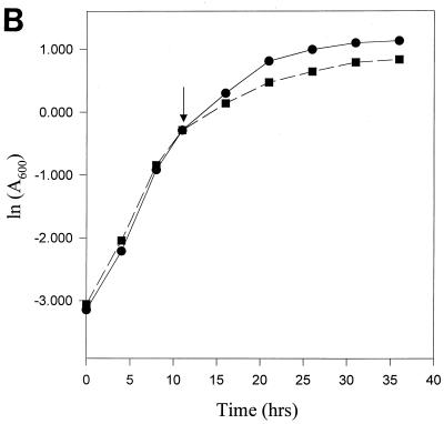 FIG. 8