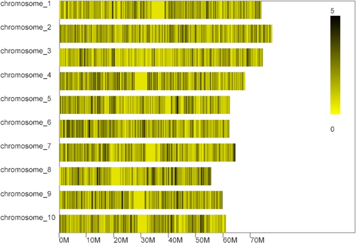 Fig 4