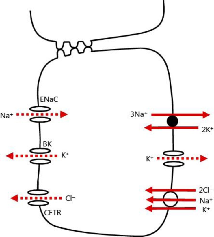 Fig. 2