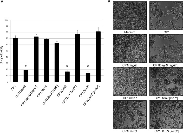 FIG 4