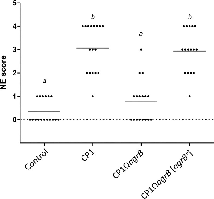 FIG 6