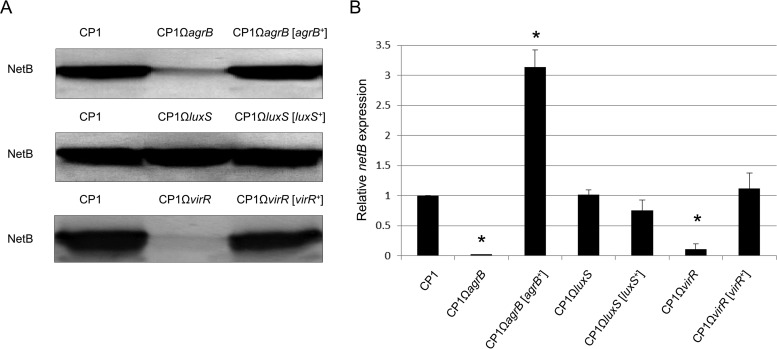 FIG 3