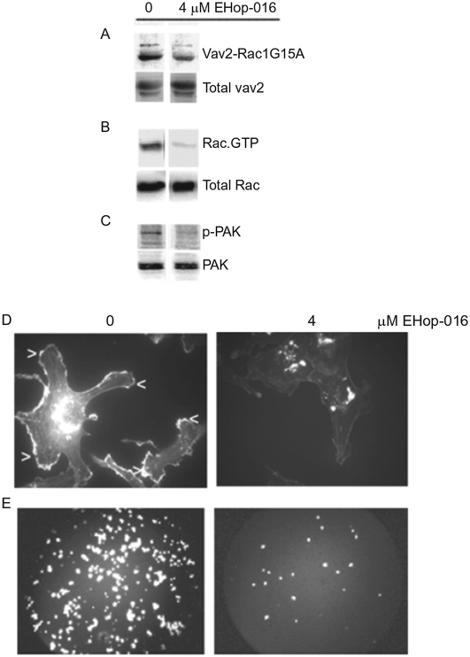 Figure 6.5