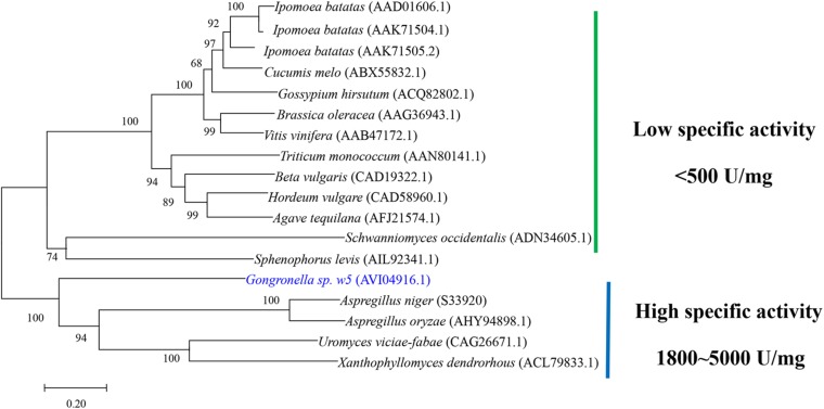 FIGURE 1