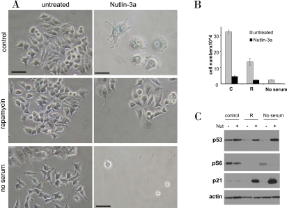 Figure 12.