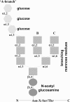 Figure 11.